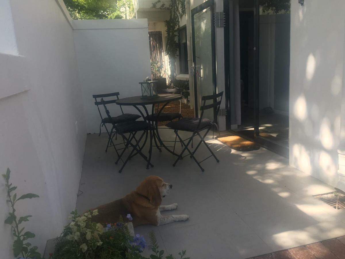 Table Mountain Guest Cottage With Private Garden Cidade Do Cabo Exterior foto